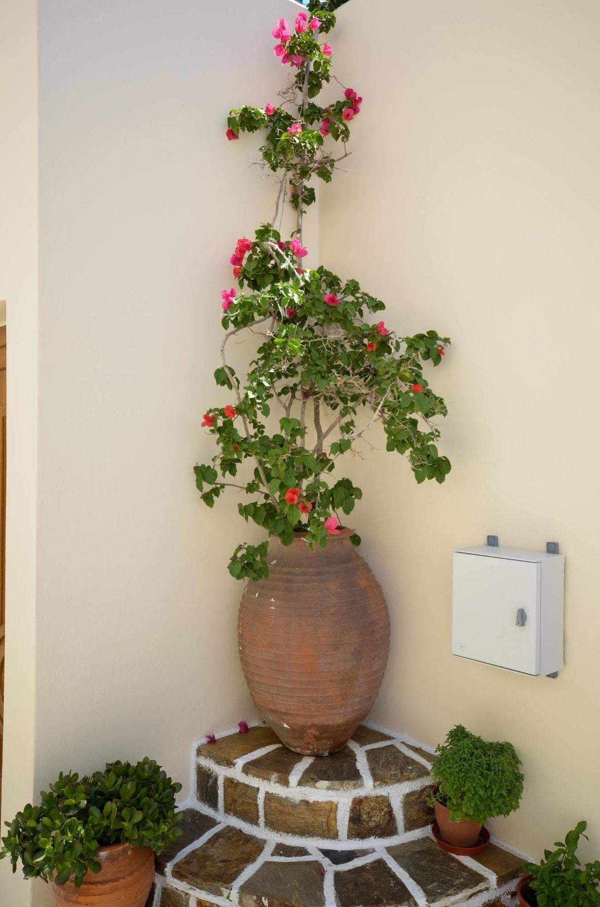Margo Studios Naxos City Luaran gambar